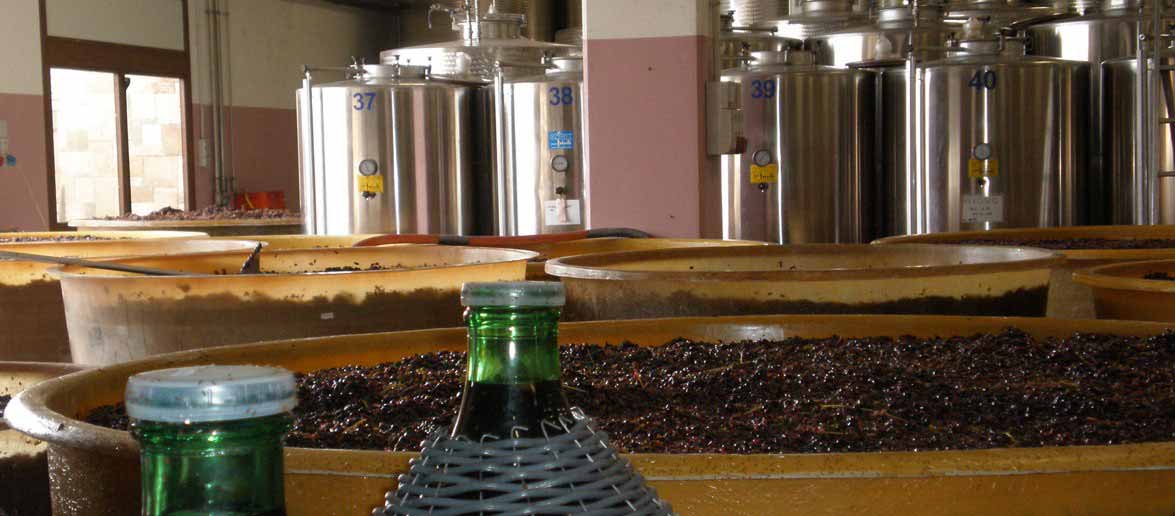 Azienda Agricola Nadalutti - Azienda Agricola, Vino, Friulano, Azienda Vinicola, Orsaria, Premariacco, Rosazzo, Vini, Vigna, agriturismo, degustazioni vini, vini di rosazzo